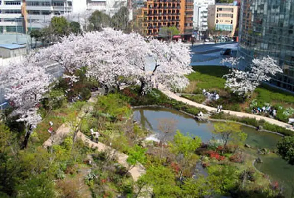 六本木ヒルズ毛利庭園
