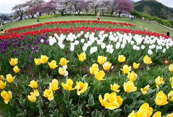県立秦野戸川公園
