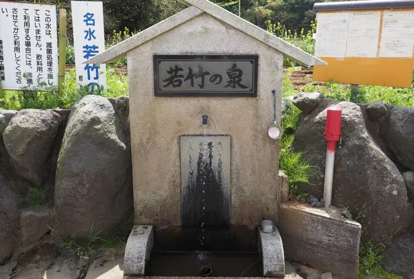 若竹の泉
