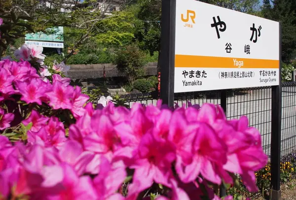 谷峨駅