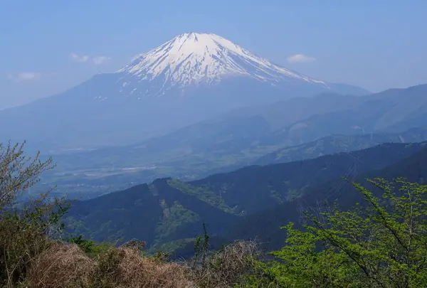 大野山
