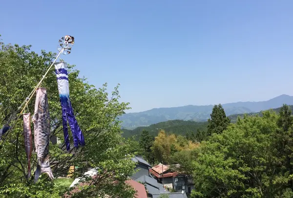 吉野山の写真・動画_image_134855