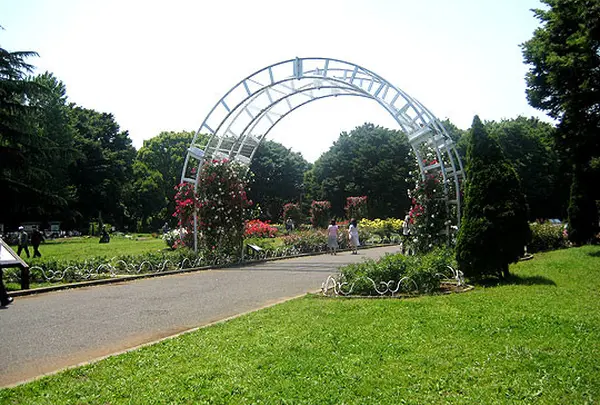 代々木公園