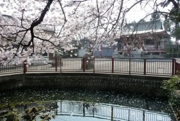八雲神社