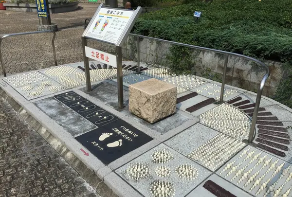 築地川銀座公園の写真・動画_image_138489