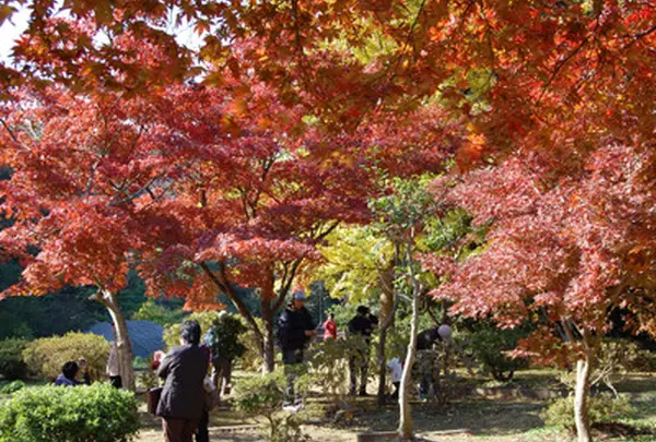 源氏山公園