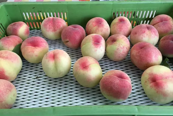 富玉園