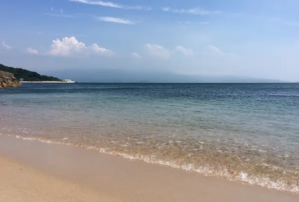 工房とったんの写真・動画_image_143592