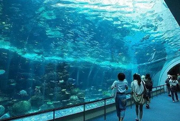 名古屋港水族館