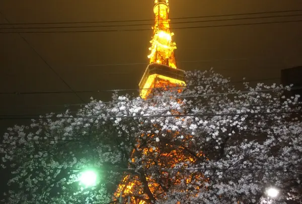 タワシタ
