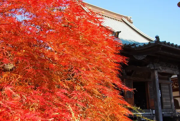 龍峰寺　※海老名市