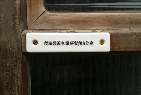 爬虫類両生類研究所8　喫茶 分室