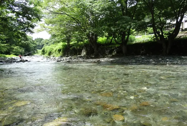 道志川であそぶ
