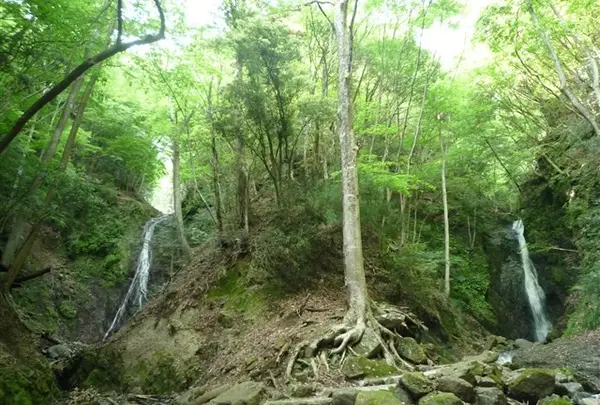 雄滝雌滝