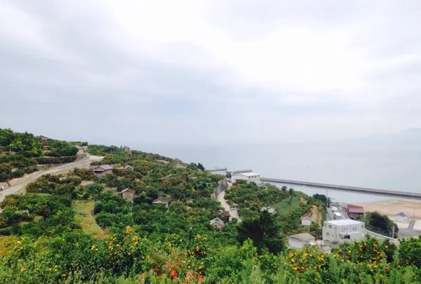 河内町河内の写真・動画_image_159164