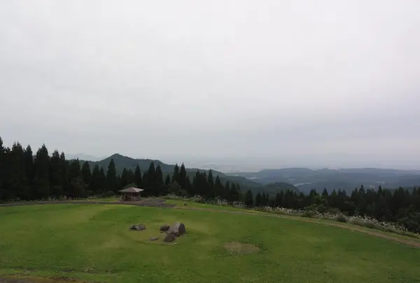 町民の森の写真・動画_image_161402