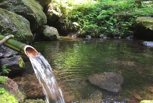 磐梯西山麓湧水群（代表　龍ケ沢湧水）の写真・動画_image_163317