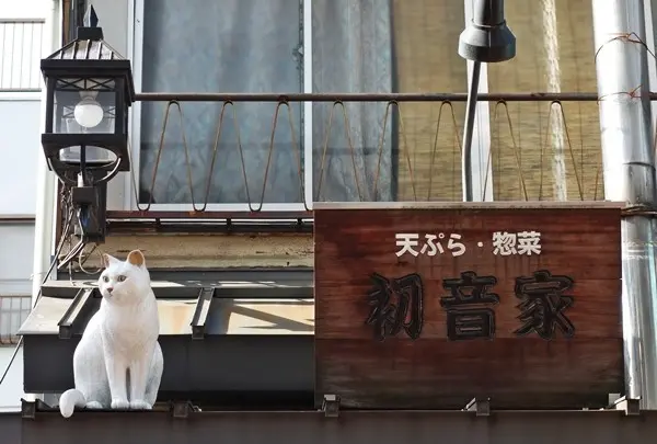初音家