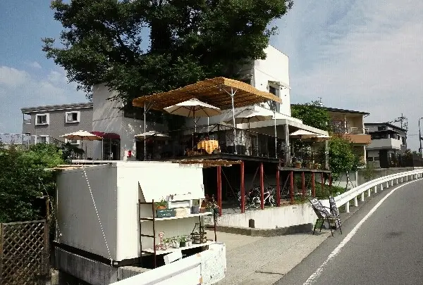 タンポポ