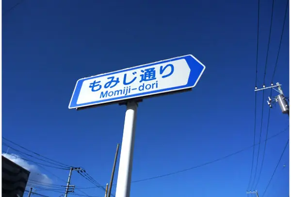 小さな良いお店が並ぶ「もみじ通り」
