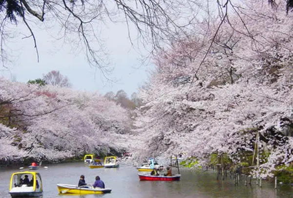 井の頭恩賜公園