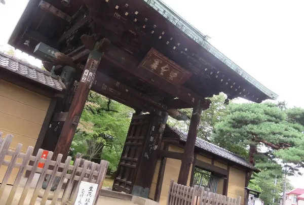 豪徳寺の写真・動画_image_172158