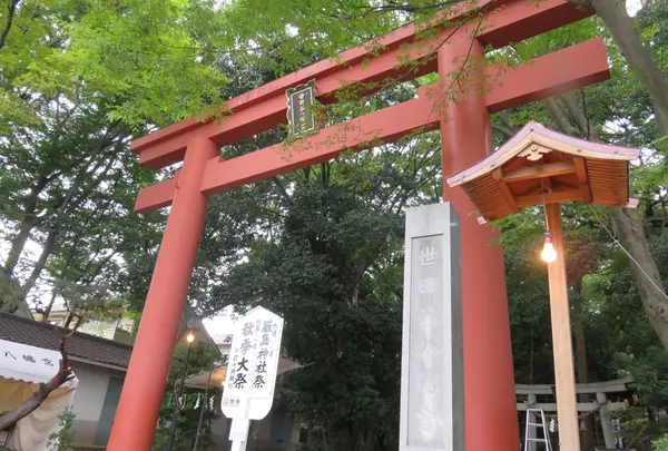 世田谷八幡宮の写真・動画_image_172160