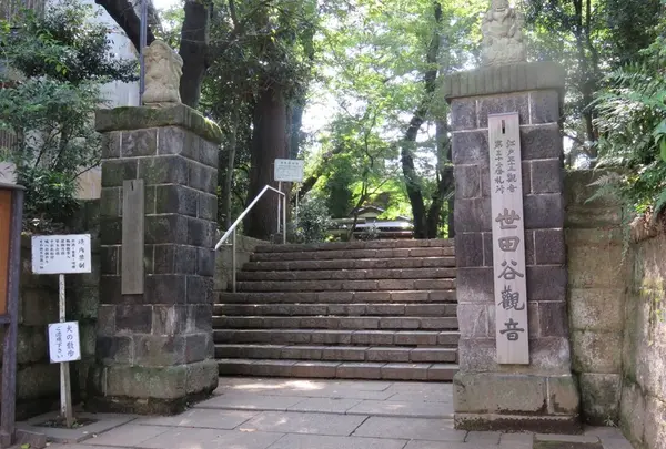 世田谷山観音寺の写真・動画_image_172508