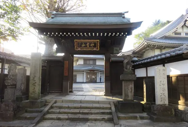 金乗院（目白不動）の写真・動画_image_172572