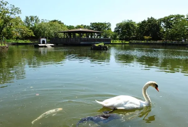 荒川自然公園
