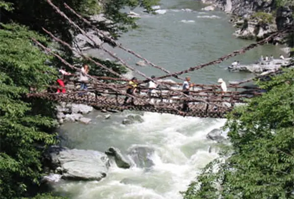 祖谷のかずら橋