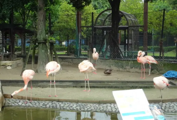 久留米市鳥類センター