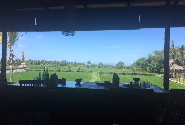 Bebek Joni Restaurant