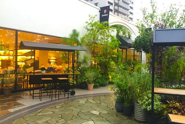 TENOHA & STYLE STORE (テノハ代官山)
