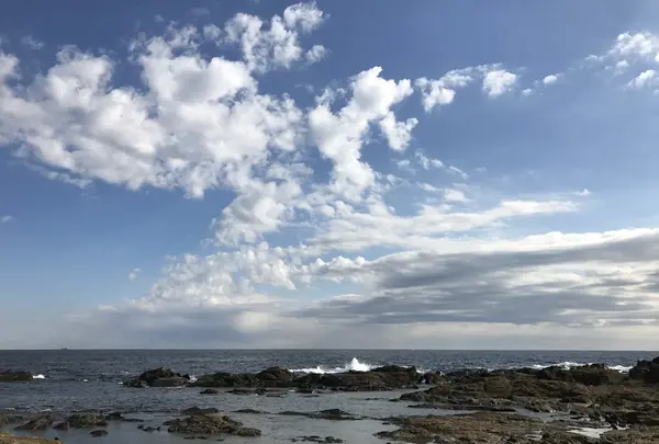 南房総国定公園の写真・動画_image_208012