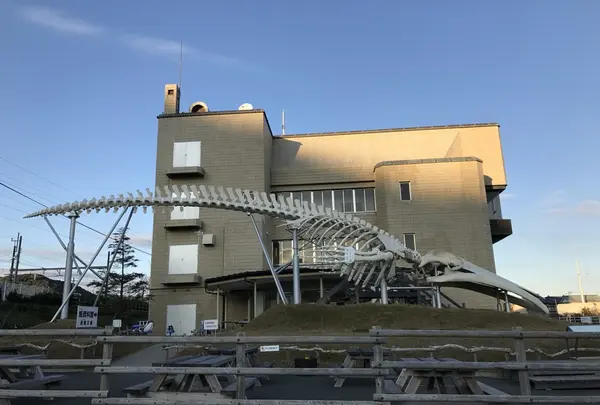 道の駅和田浦ＷＡ・Ｏ！の写真・動画_image_208018