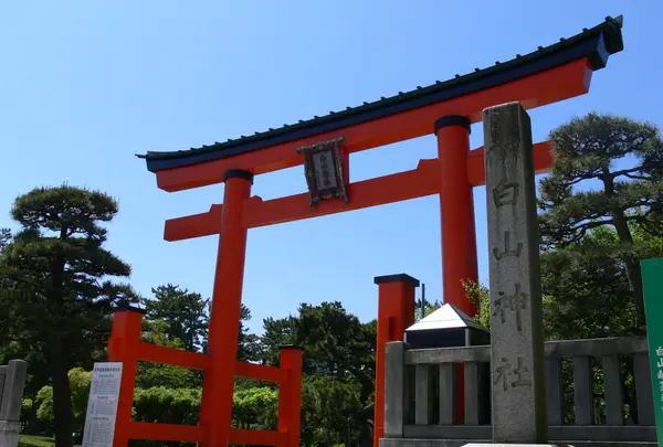 新潟総鎮守 白山神社の写真・動画_image_221588