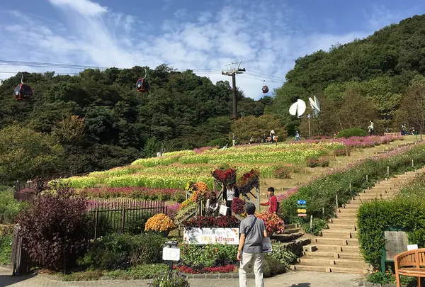 神戸布引ハーブ園/ロープウェイ
