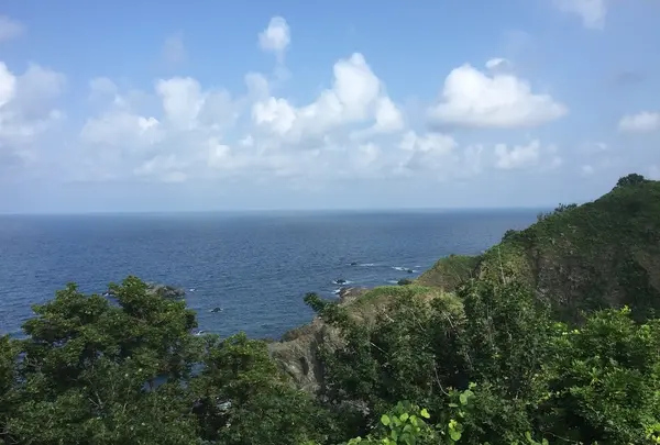 大間越街道の写真・動画_image_249091