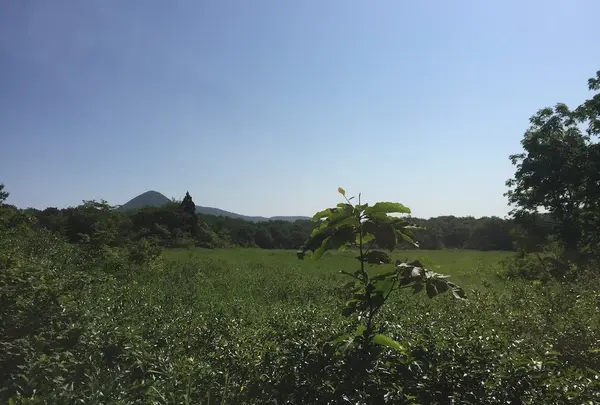 谷地湿原の写真・動画_image_249189