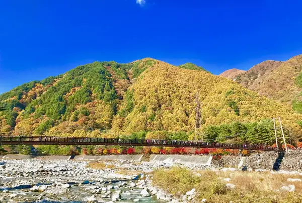 駒ヶ根ファームス