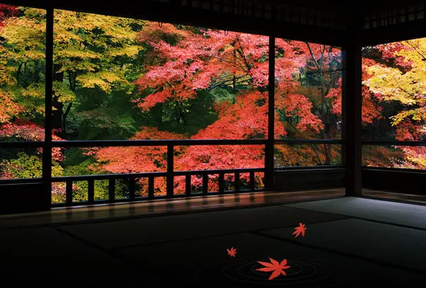 瑠璃光院