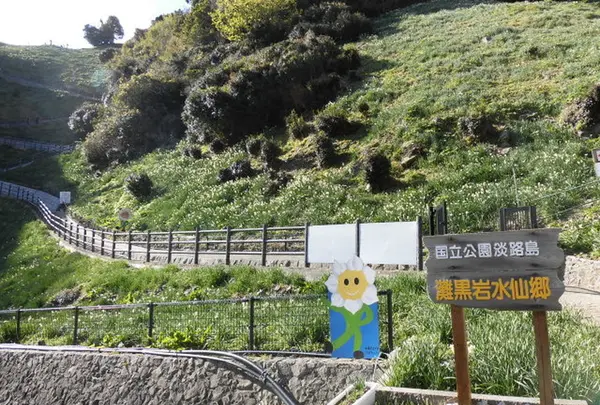 灘黒岩水仙郷