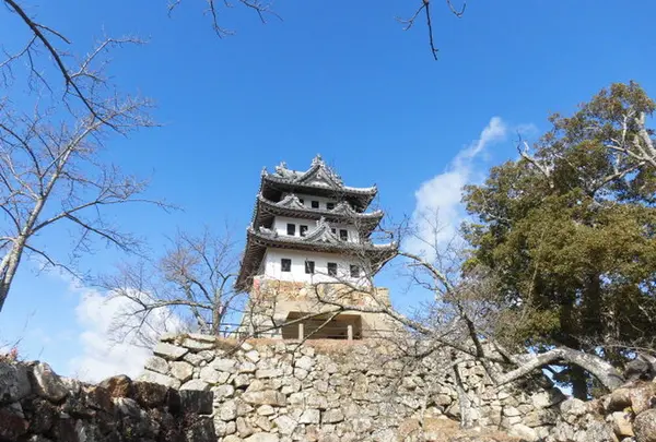 洲本城の写真・動画_image_305309