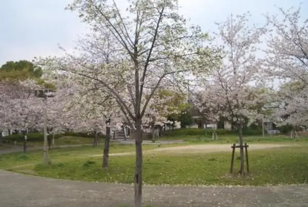 桜ノ宮公園
