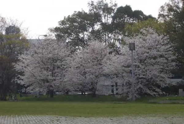 難波宮跡公園