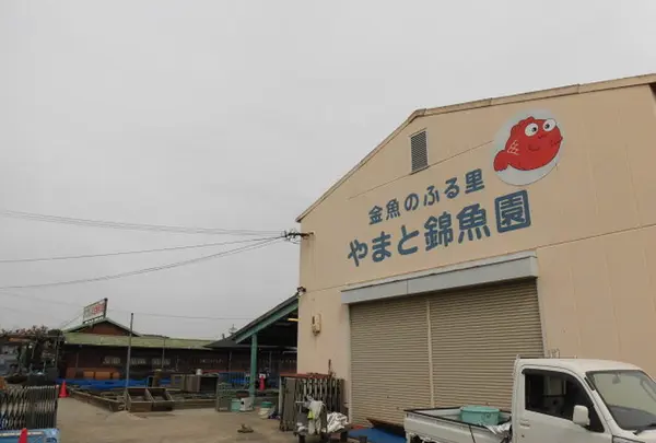 有限会社 やまと錦魚園