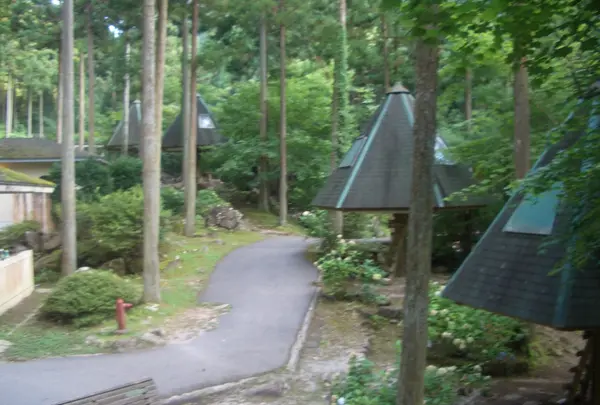 グリーンエコー笠形