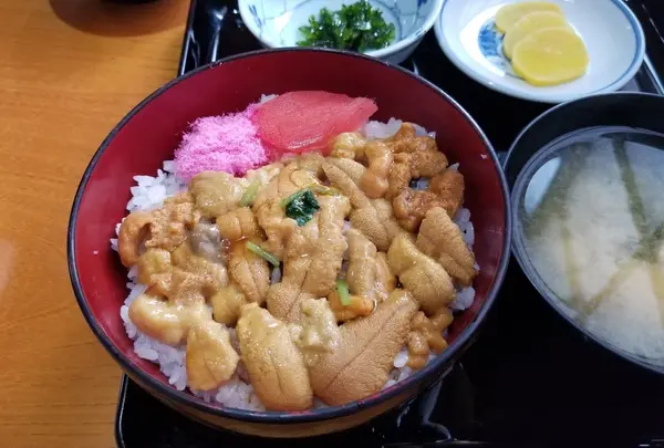 丸藤