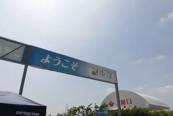 大阪舞洲ゆり園